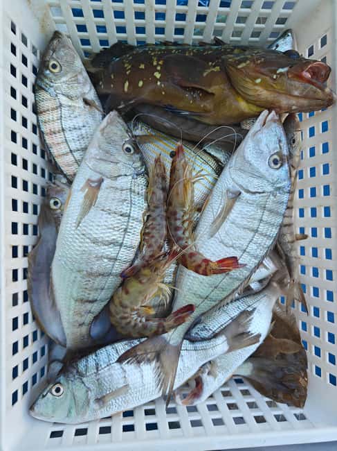 Cefalù: boat trip with fishing, coastal tour, snorkeling, and lunch on board - Who will enjoy this outing most?