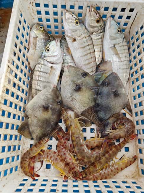 Cefalù: boat trip with fishing, coastal tour, snorkeling, and lunch on board - My practical verdict