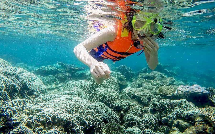 Cham Island Tour: Snorkeling & Spa from Da Nang/Hoi An - From Da Nang or Hoi An to Cua Dai Pier