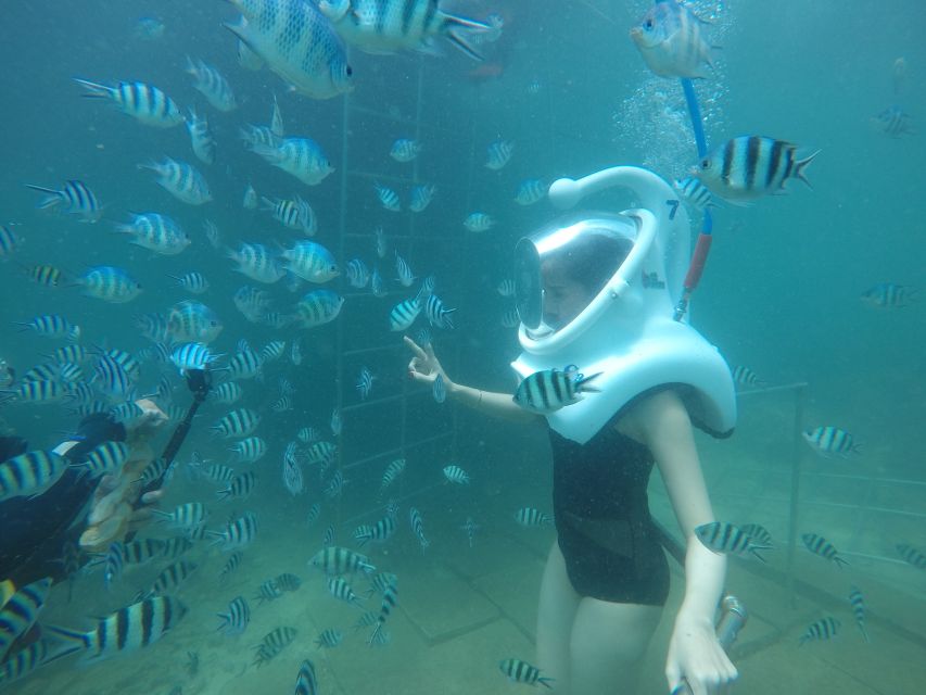 Cham Island: Underwater Walking & Snorkeling Tour - The day begins at Cua Dai Wharf