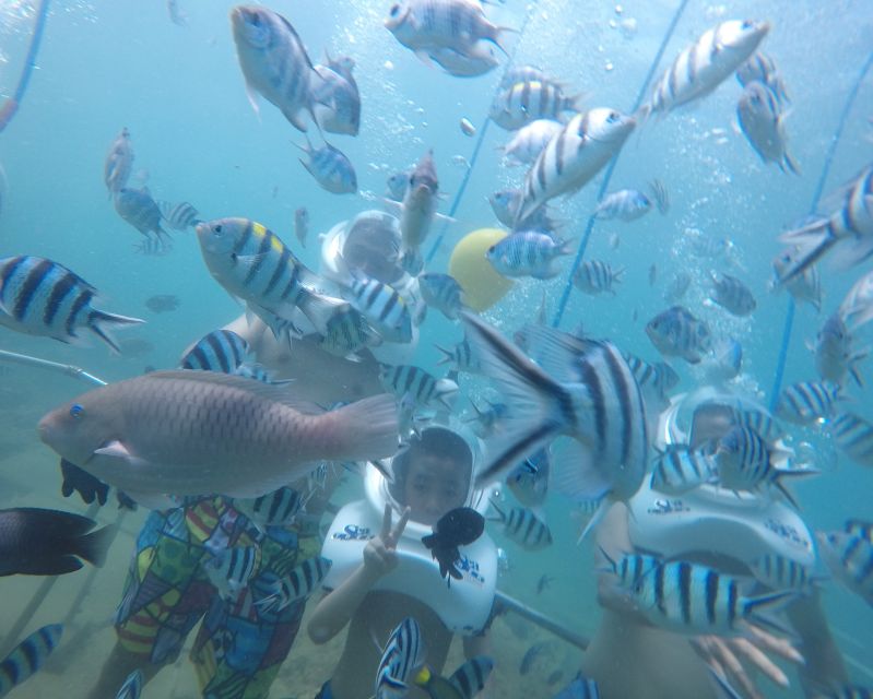 Cham Island: Underwater Walking & Snorkeling Tour - The unusual part: walking under the water