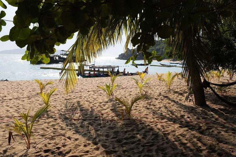 Cham Islands Snorkeling Tour by Speedboat : Hoi An/Da Nang - A fast route from Da Nang or Hoi An to Cham Island