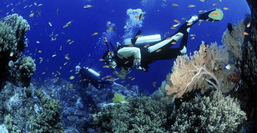 Cham Islands Snorkeling Tour by Speedboat : Hoi An/Da Nang - Who should book this Cham Island tour?
