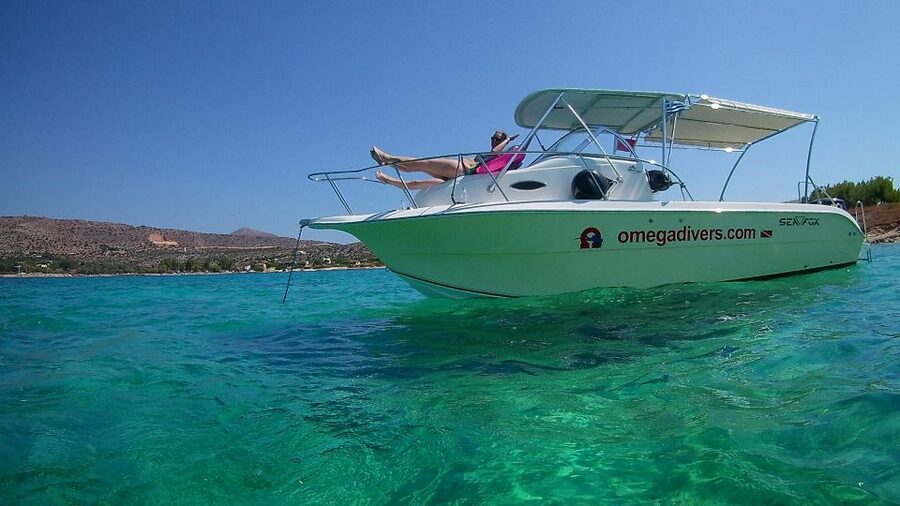 Chania: Boat Trip with Guided Snorkeling & Stand-Up Paddling - What you may see below the surface