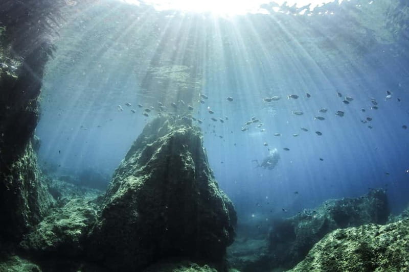 Chania: Scuba Diving and Snorkeling for Beginners by Boat - Key points to know before you book