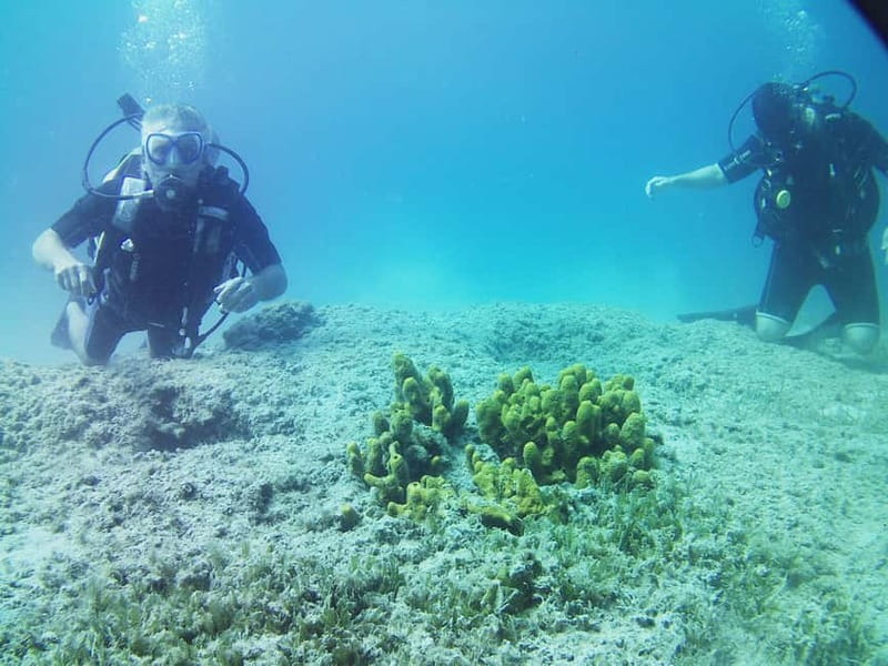 Chania: Scuba Diving and Snorkeling for Beginners by Boat - The 1.5-hour scuba session near Macherida