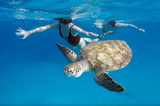 Che’s snorkel cruise! turtles & shipwrecks (semi private) - Why the early start matters at Pebbles Beach