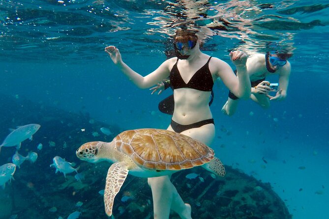 Che’s snorkel cruise! turtles & shipwrecks (semi private) - What is included, and what you need to bring