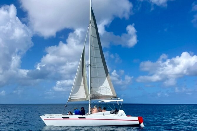 Che’s snorkel cruise! turtles & shipwrecks (semi private) - How the $75 price compares with the experience