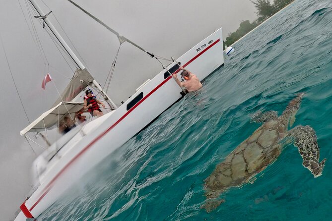 Che’s snorkel cruise! turtles & shipwrecks (semi private) - Booking details that can save you trouble