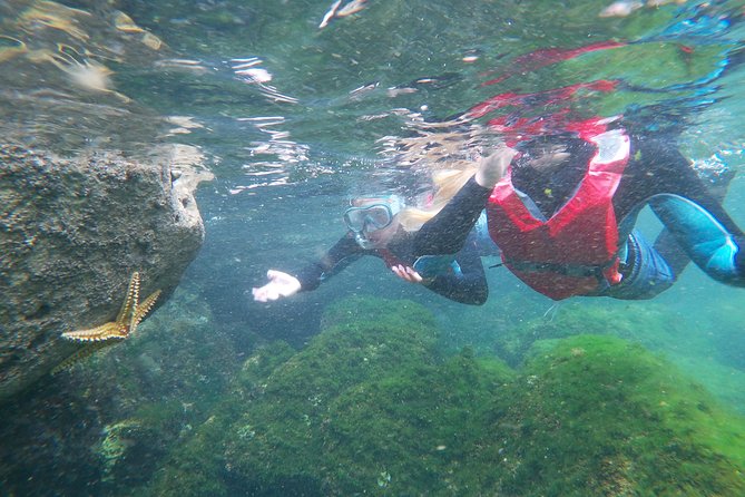Coasteering adventure with snorkeling: kids version - Swimming, scrambling, and jumping along the cliffs