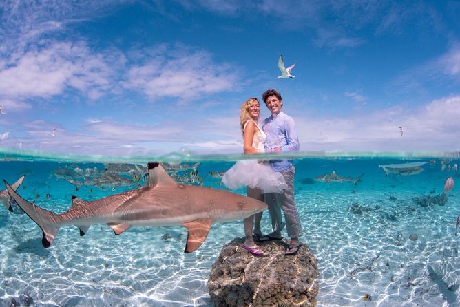 Combo Diving and Snorkeling Full Day Tour - Who should book this private Bora Bora outing?
