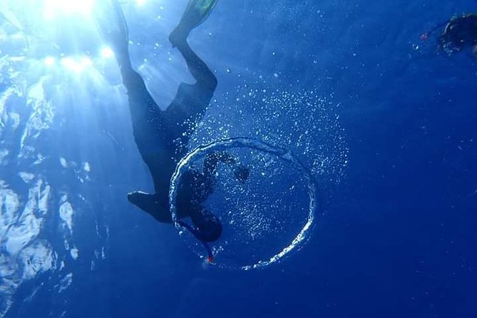 Combo Diving and Snorkeling Half-Day Tour - Should you book the private scuba and snorkeling tour?