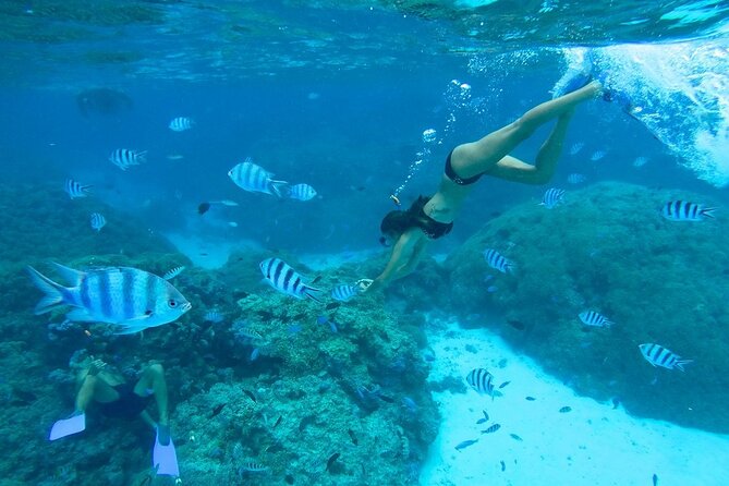 Combo snorkeling + motu lunch + jet ski group tour full day - Why this Bora Bora tour packs in so much