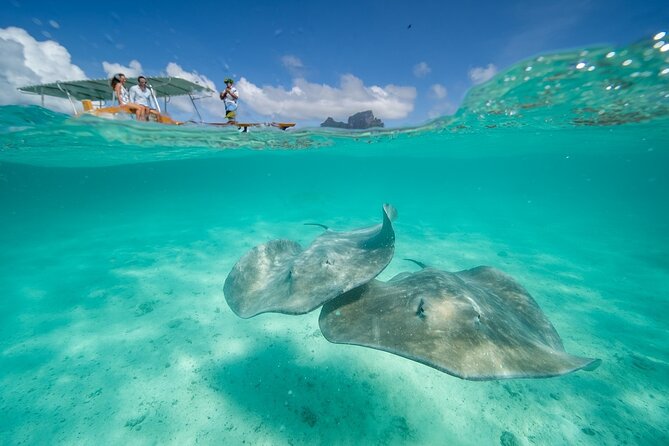Combo snorkeling + motu lunch + jet ski group tour full day - Coral gardens bring the best fish watching