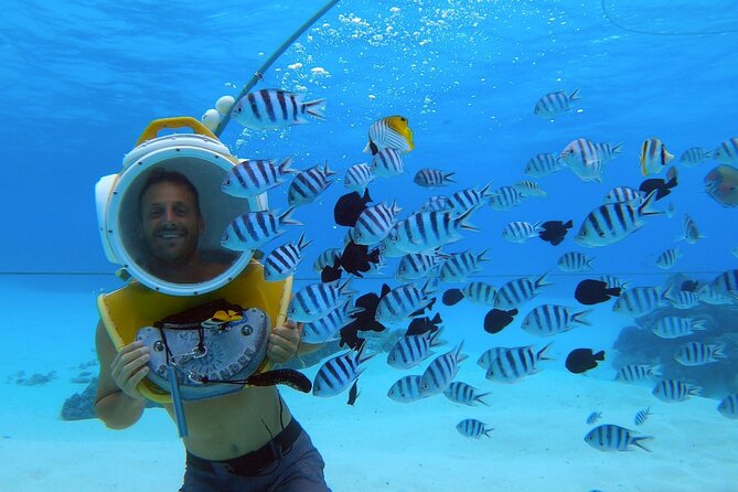 Combo snorkeling + motu lunch + jet ski group tour full day - Swimming near sharks adds a jolt of excitement