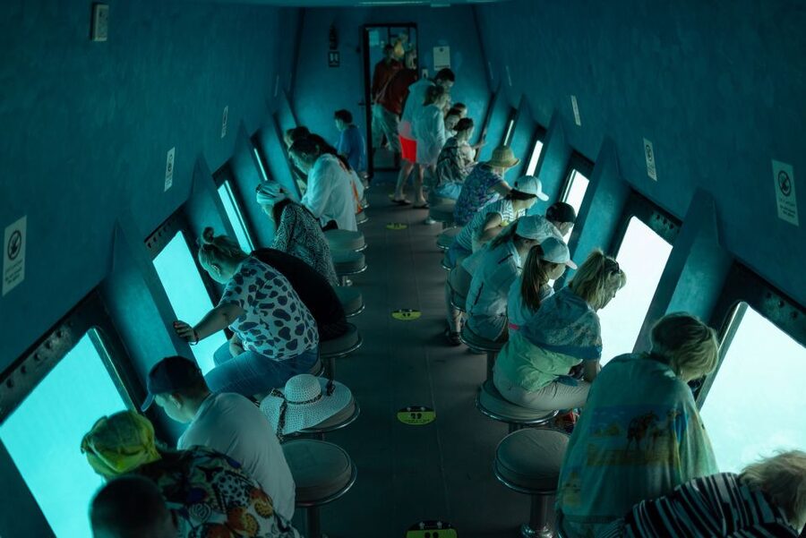Conquest 2 Hour Semi Submarine with snorkeling from Hurghada - What you may see below the surface
