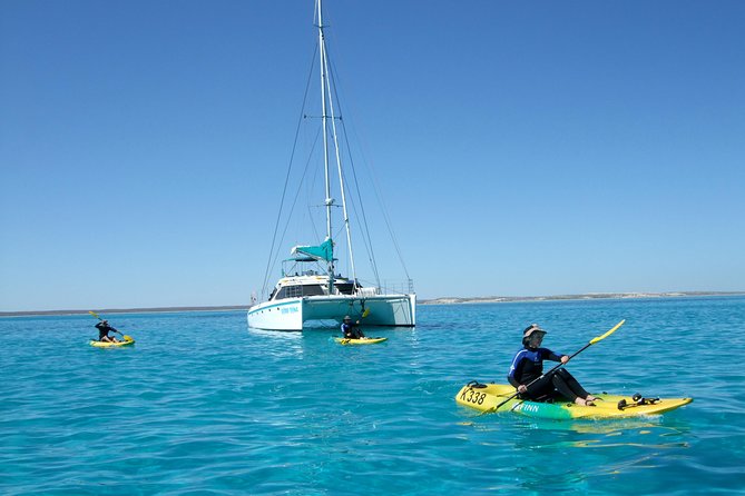 Coral Bay: 2-Hour Coral Viewing and Snorkeling - What you can see without snorkeling
