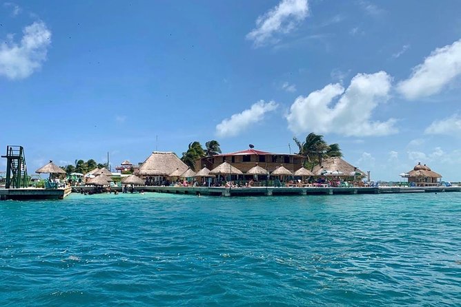 Coral Garden Shark and Sting Ray Alley Snorkeling - Shark Alley brings the biggest thrill