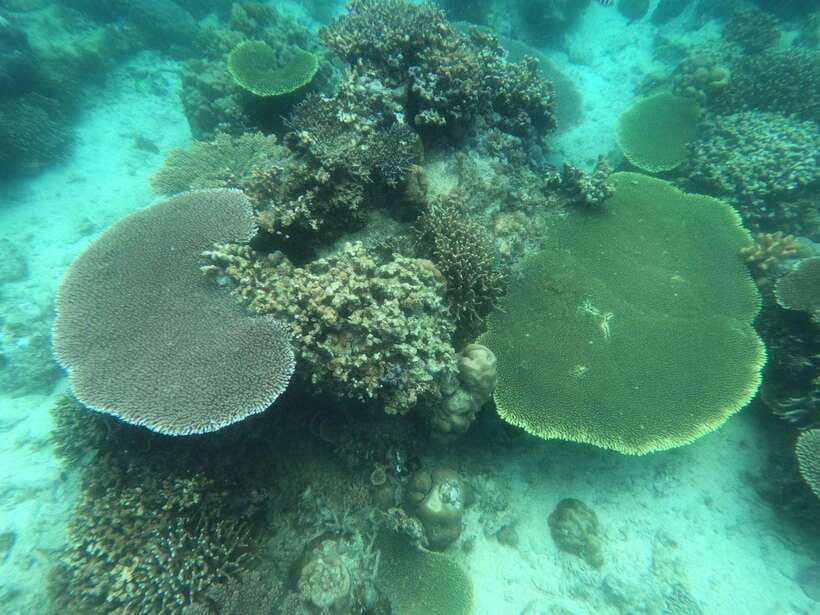 CORON:ISLAND TOUR A Lakes and Snorkeling with Corals - Banul Beach: lunch with limestone scenery