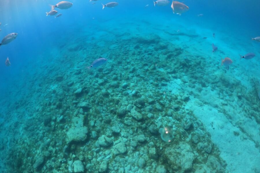 Corralejo: Snorkeling on Lobos Island & Return Ferry Ticket - Walking from the landing point to La Concha Beach