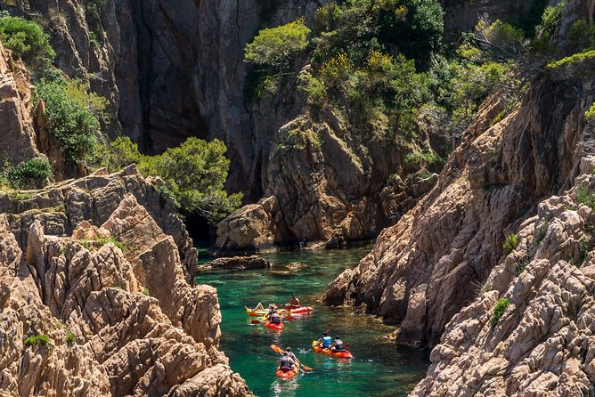 Costa Brava Kayaking and Snorkeling Small Group Tour with Lunch - Snorkeling, sea life, and optional cliff jumping