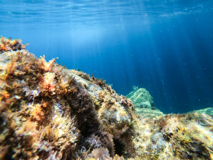 Costa Brava: Sea Caves Kayaking and Snorkeling Tour - Guide quality and language support