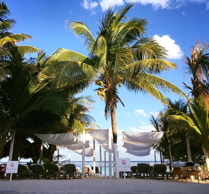 Costa Maya: Beach with Open Bar, Massage, Lunch & Snorkeling - A quick ride from Costa Maya port to Pitaya