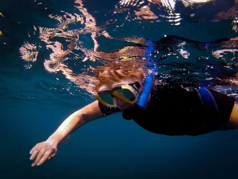 Costa Teguise: Guided 2-hour Snorkeling Tour for all levels - Who should book this experience?