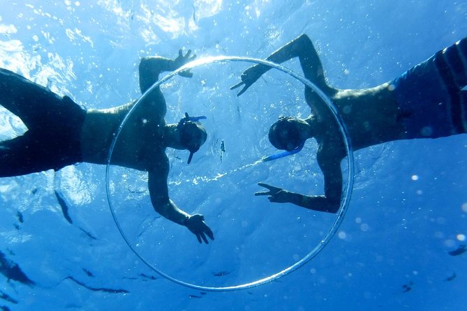 Cozumel Catamaran Snorkeling Tour & lunch® - A full Cozumel day built around the sea