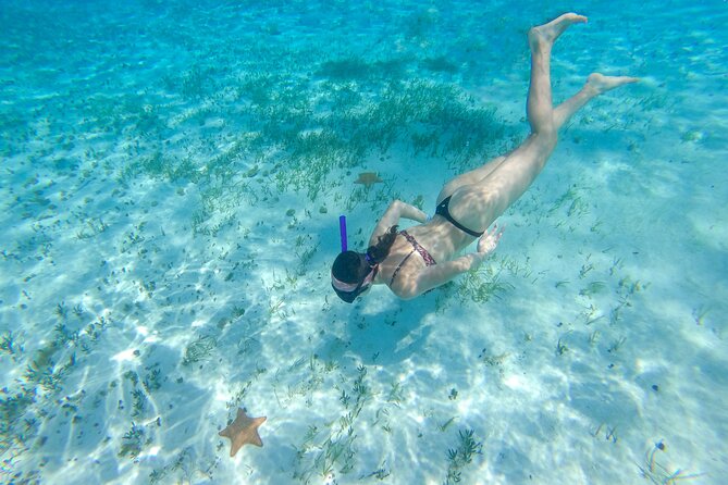 Cozumel Catamaran Snorkeling Tour & lunch® - What the price really covers