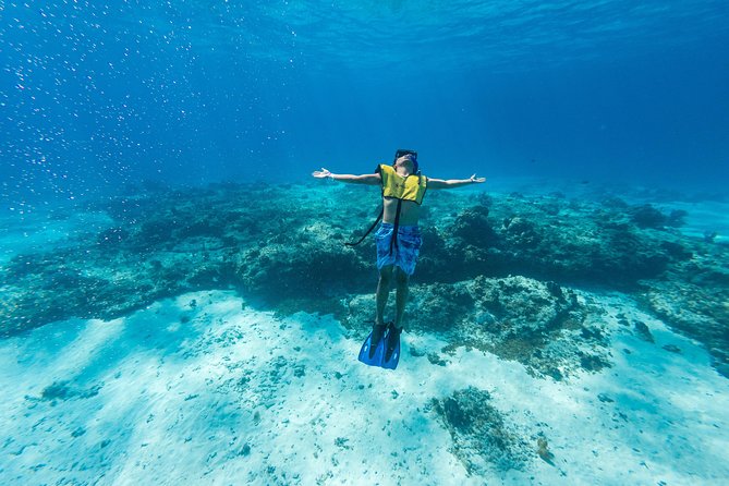 Cozumel Catamaran Snorkeling Tour & lunch - El Cielo Bay and Its Starfish