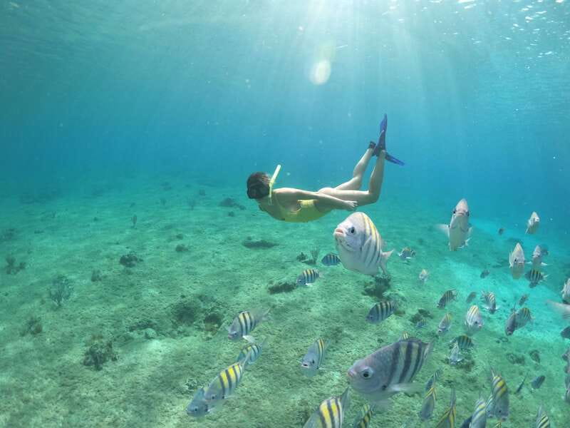 Cozumel: Clear Boat Ride and Snorkeling Trip - Key details before you book
