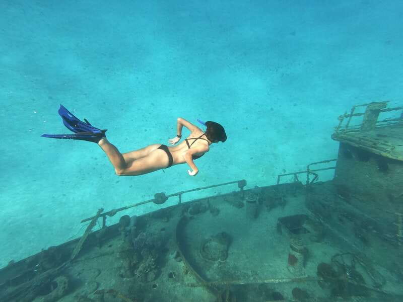 Cozumel: Clear Boat Ride and Snorkeling Trip - What you may see beneath the boat