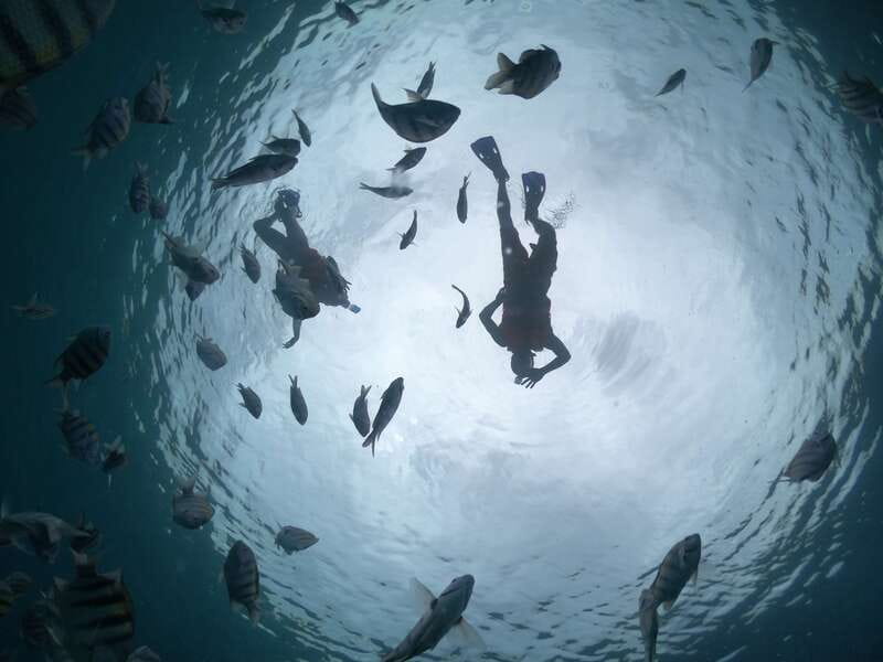 Cozumel: Clear Boat Ride and Snorkeling Trip - Practical ways to enjoy the outing