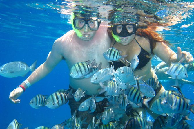 Cozumel Coral Reef Snorkeling by Glass Bottom Boat with Guide - Who will enjoy this most?