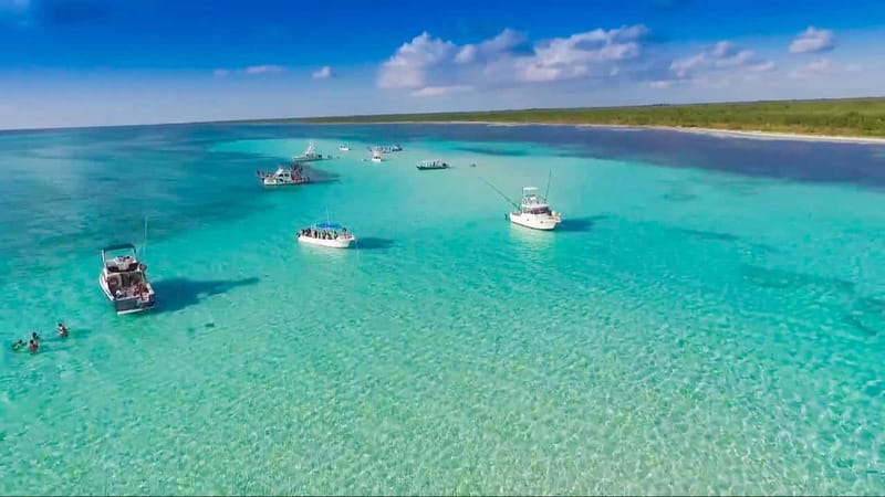 Cozumel: El Cielo & Palancar Snorkel with Open Bar & Ceviche - Three Cozumel Stops in Four and a Half Hours