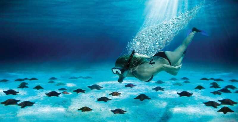Cozumel: El Cielo & Palancar Snorkel with Open Bar & Ceviche - Should You Book This Cozumel Snorkel Trip?