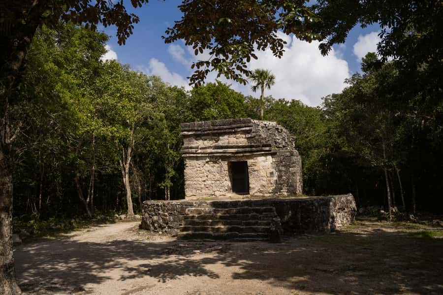 Cozumel: Mayan Ruins Guided Tour with Snorkeling & Lunch - San Gervasio: Cozumel’s main Mayan site