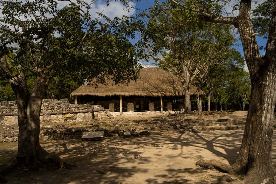 Cozumel: Mayan Ruins Guided Tour with Snorkeling & Lunch - Who will enjoy this outing most?