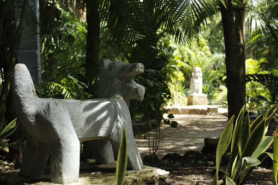 Cozumel: Official Chankanaab Park and Snorkeling with Lunch - Lunch by the shore, with a few limits