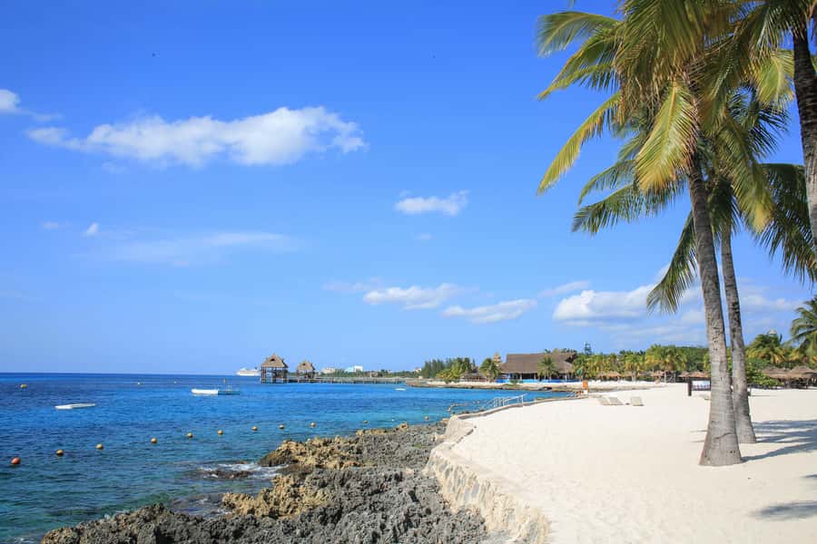 Cozumel: Official Chankanaab Park and Snorkeling with Lunch - Sea lion shows and optional extras
