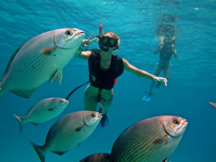 Cozumel: Official Chankanaab Park and Snorkeling with Lunch - Who should book this experience
