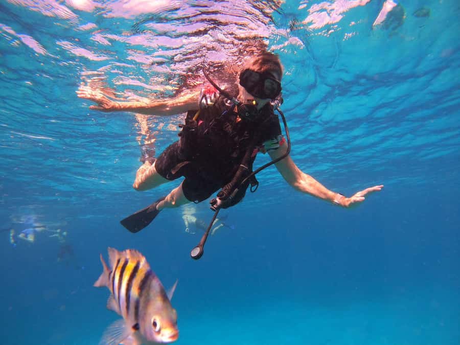 Cozumel: Palancar, Columbia and Cielo Reefs Snorkeling Tour - Should you book the Palancar, Columbia, and El Cielo trip?
