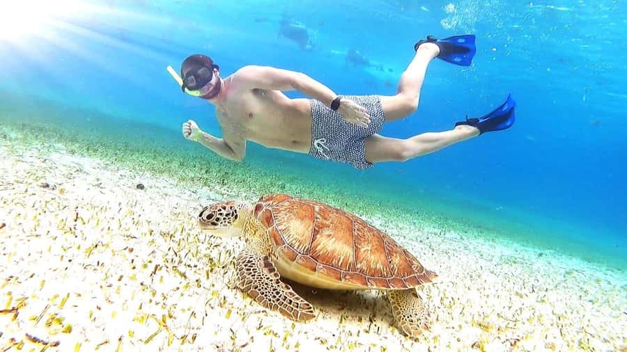 Cozumel: Palancar, Columbia and Cielo Reefs Snorkeling Tour - Three reef stops along Cozumel’s southwest coast