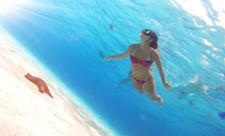 Cozumel: Palancar, Columbia and Cielo Reefs Snorkeling Tour - El Cielo and El Cielito: the easygoing finish