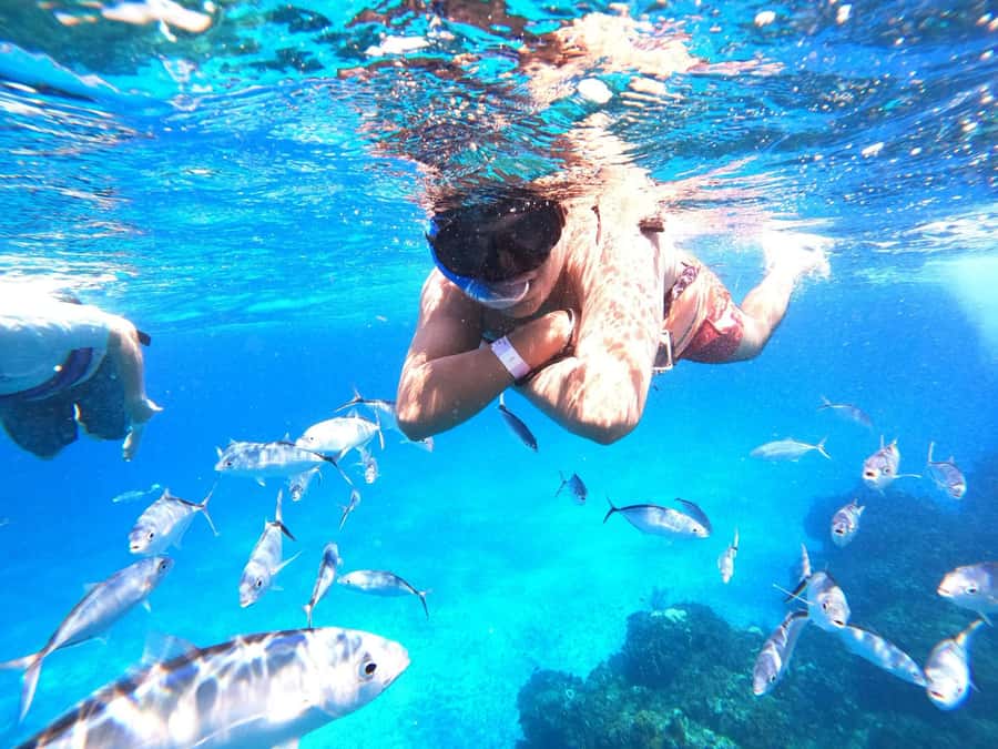 Cozumel: Palancar, Columbia and Cielo Reefs Snorkeling Tour - Crew service and the equipment question