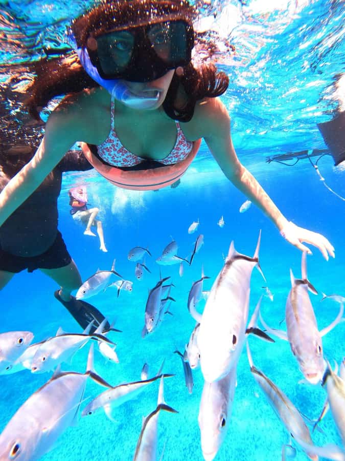 Cozumel: Palancar, Columbia and Cielo Reefs Snorkeling Tour - Who should book this four-hour tour?