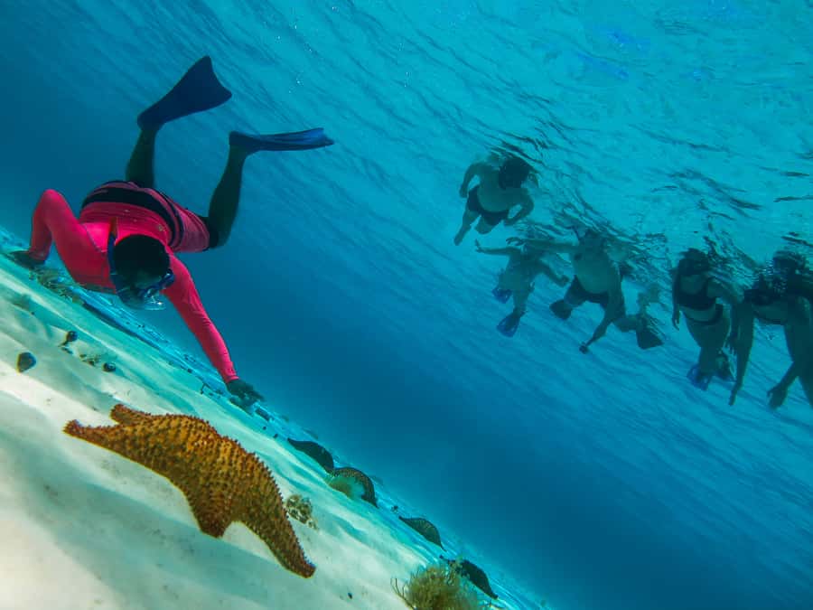 Cozumel: Palancar, Columbia and Cielo Reefs Snorkeling Tour - Leaving Marina Cozumel ASIPONA