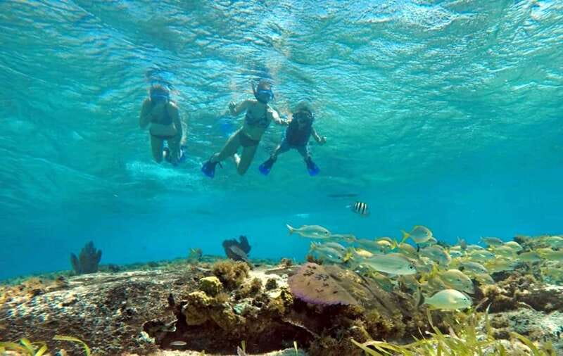 Cozumel: Private Charter Boat and Snorkel Day Trip - A private start at Marina Fonatur